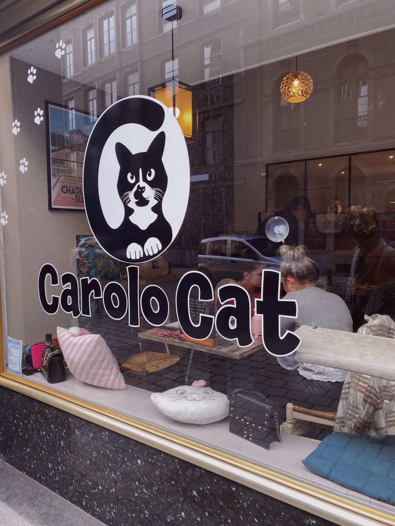 carolocat-vitrine-mycharleroi-min